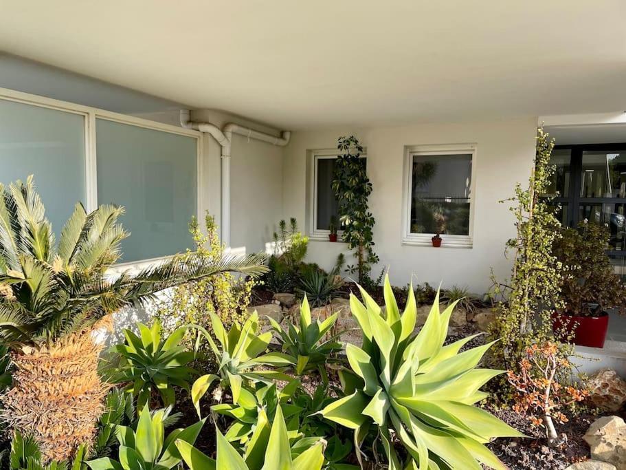 21 - Tres Agreable Rdc Avec Terrasse Et Parking Apartman Bandol Kültér fotó