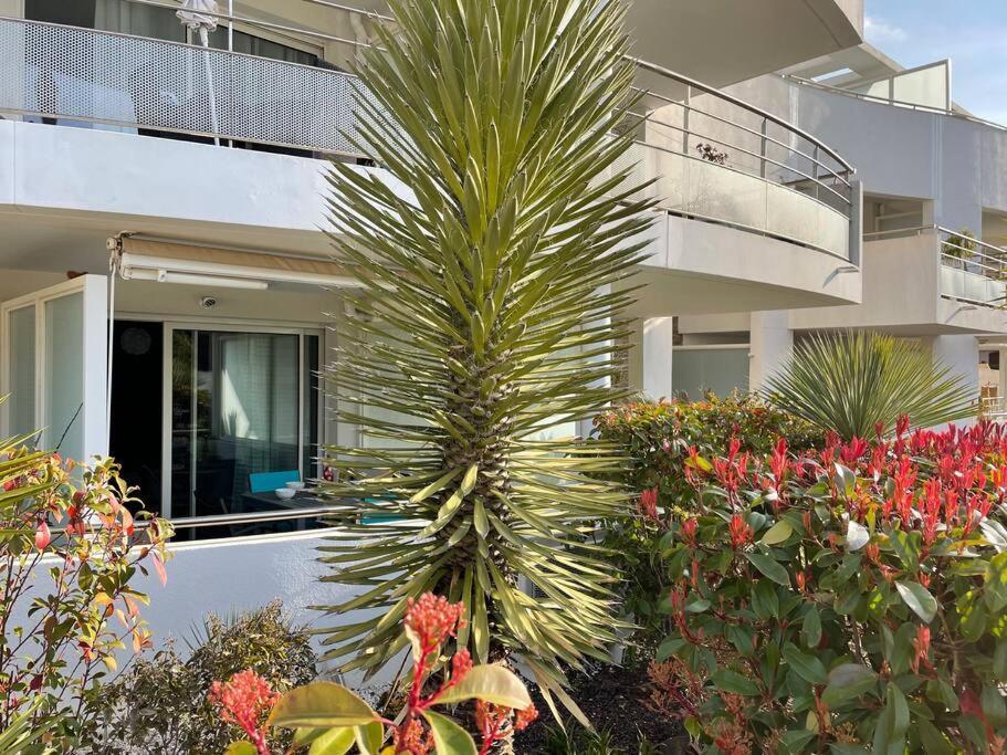 21 - Tres Agreable Rdc Avec Terrasse Et Parking Apartman Bandol Kültér fotó