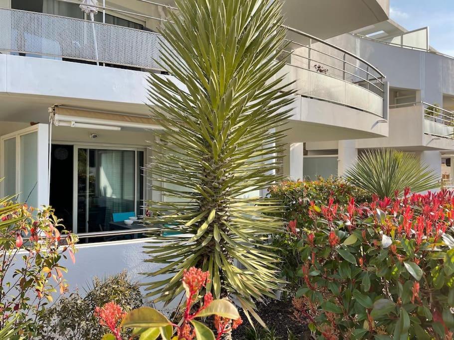 21 - Tres Agreable Rdc Avec Terrasse Et Parking Apartman Bandol Kültér fotó
