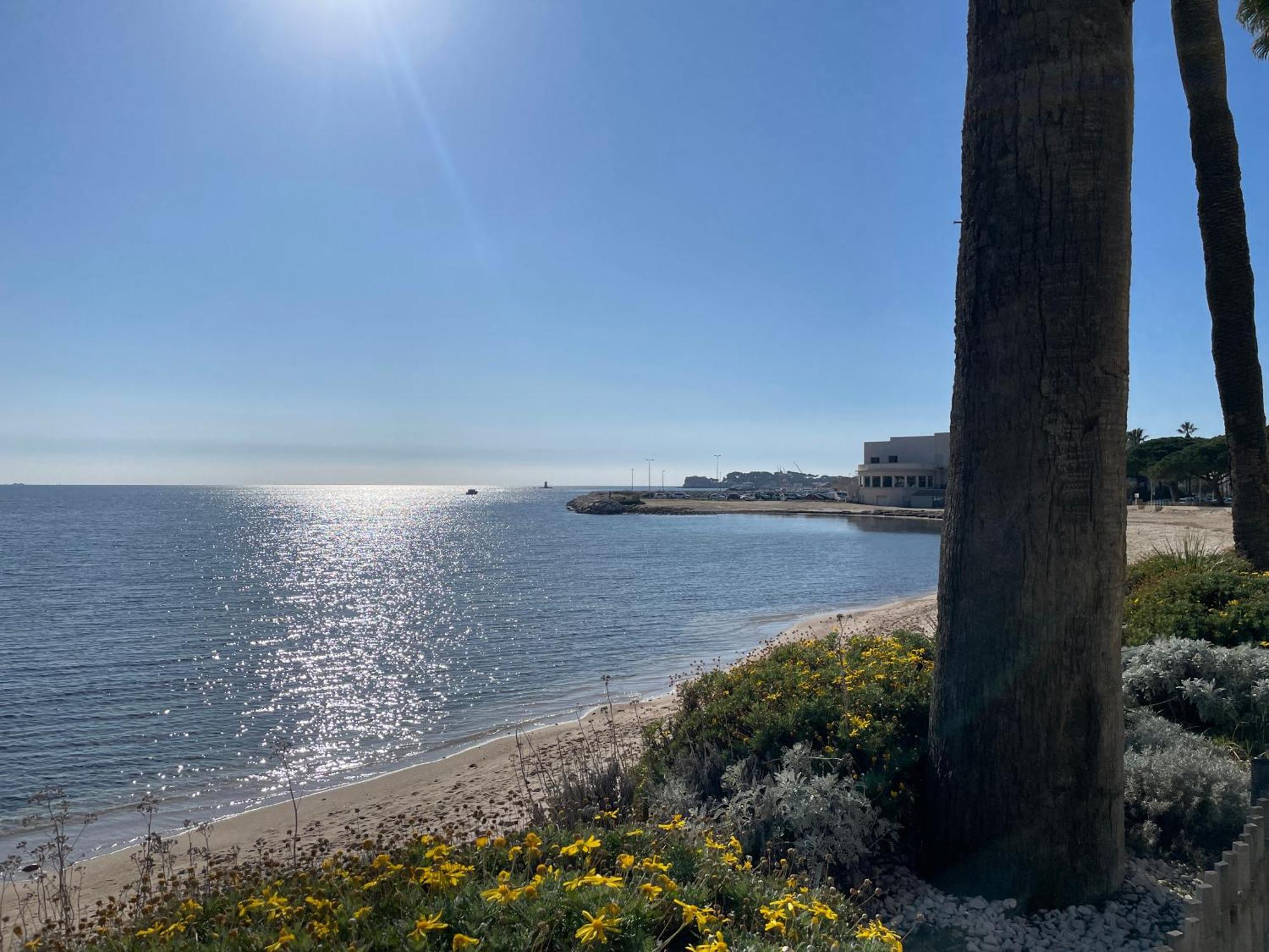 21 - Tres Agreable Rdc Avec Terrasse Et Parking Apartman Bandol Kültér fotó