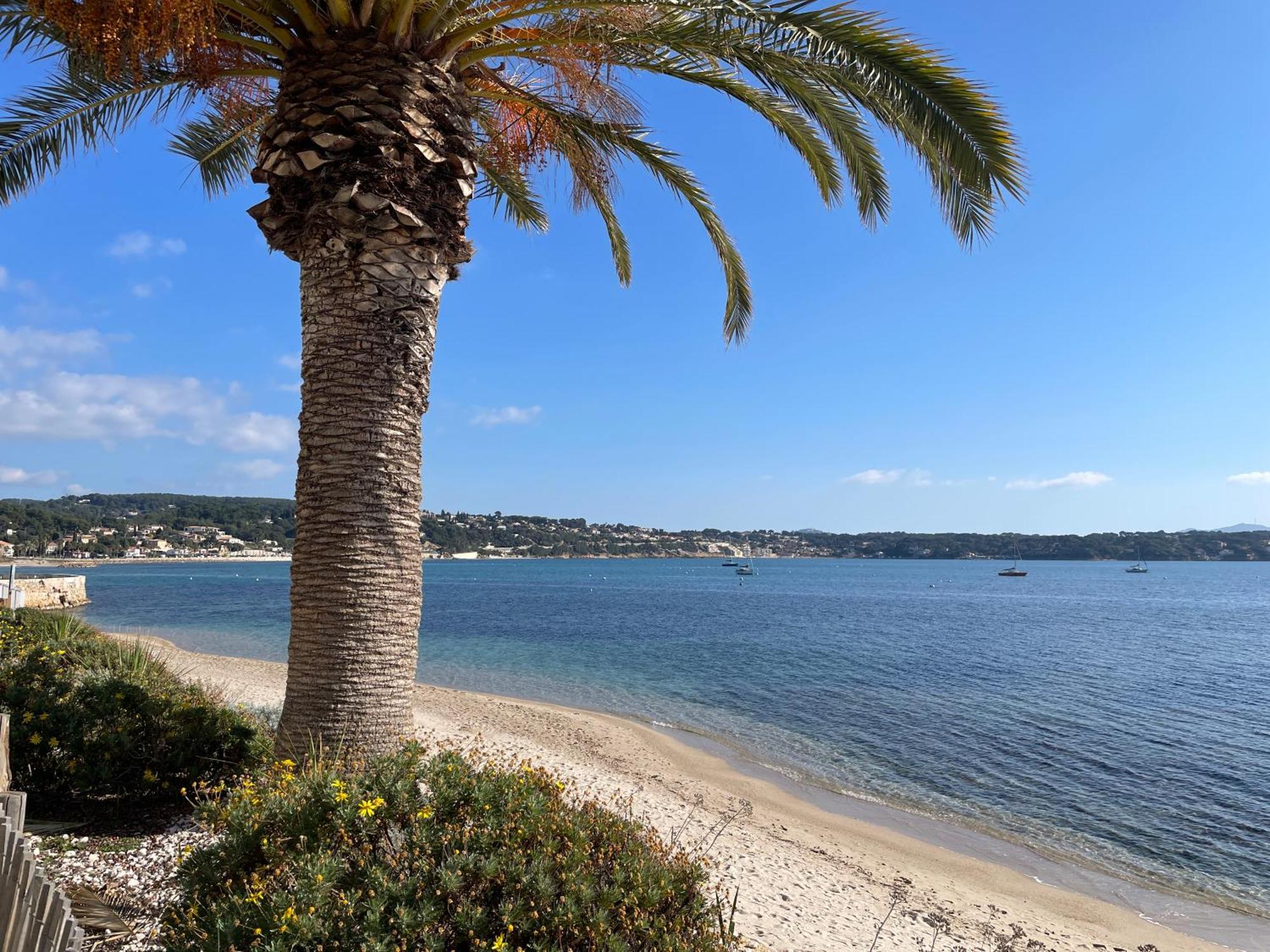 21 - Tres Agreable Rdc Avec Terrasse Et Parking Apartman Bandol Kültér fotó